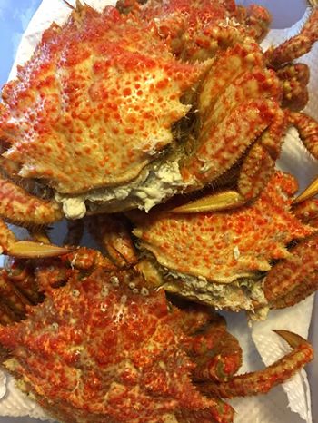 4/12、13、14 営業します⭕️